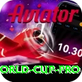 1992 world cup - VIP Ultimate