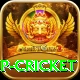 2022 world cup cricket Turbo v4.8.5
