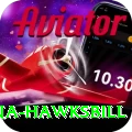 antigua hawksbill Games (Casino & Earning) Premium v4.1.2