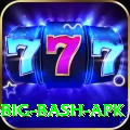 bbl big bash apk Apps (Tools & Injectors) Deluxe v2.7.8
