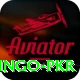 Bingo PKR Pro Max v3.6.3