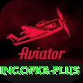 bingopkr Deluxe Edition v2.5.0