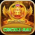 cricket bat Deluxe v5.9.8