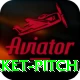 cricket pitch Elite Pro v5.6.1