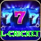 defending total cricket Gold Pro v1.9.1