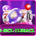 dhampus rice terrace Pro v4.9.0