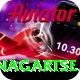 dingboche nagartse Elite Pro v4.8.0