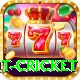 early payout cricket Games (Casino & Earning) Plus v4.7.8