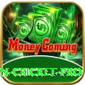 fastest ball in cricket Game VIP v2.5.3