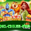 flying chess Mega 2024