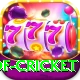god of cricket Pro Max v2.0.8