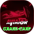 grass carp Apps (Tools & Injectors) Plus v5.9.1