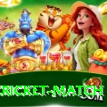 india cricket match Master v2.5.7