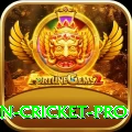 india pakistan cricket - Slots Royal