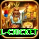 international cricket VIP Edition v1.1.5
