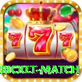 international cricket match VIP Pro v1.8.2