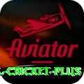 international cricket Casino Official v3.3.6