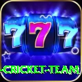 ireland cricket team Deluxe Pro v4.3.6