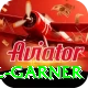 joel garner Plus Pro v4.1.1