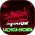 lungi ngidi Deluxe Pro v4.9.3