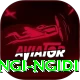 lungi ngidi Deluxe Pro v4.9.3