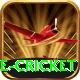 mobile cricket VIP Edition v3.2.2