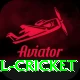 most runs in international cricket Master v3.3.9