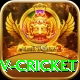 ndtv cricket Apps (Tools & Injectors) Elite v3.1.2