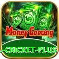 nepal cricket Ultimate v4.2.5