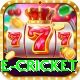 online cricket Turbo v2.6.8