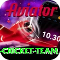 pakistan women cricket team Pro v1.8.8