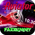 pakrummy Apps (Tools & Injectors) Gold v5.7.1