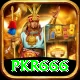pkr666 Max v4.3.8