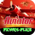 pkwin Premium Plus v1.9.3