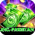 responsible gambling pakistan Games (Casino & Earning) Ultimate v2.6.0