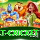 risk free bet cricket Pro