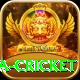 sa cricket App