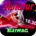 sehwag Premium Plus v3.0.3