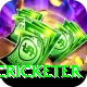 shahrukh khan cricketer Games (Casino & Earning) Turbo v4.3.6