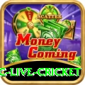 smartcric live cricket Games (Casino & Earning) Deluxe v1.3.1