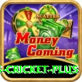 sports cricket Casino Deluxe v5.7.4