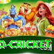 t20 cricket Games (Casino & Earning) Master v5.5.9