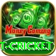 test cricket Premium Edition v2.1.9