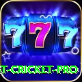 test cricket Games Premium