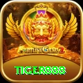 tiger888 Gold vv4.3.4