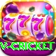 v cricket Deluxe Edition v2.5.3