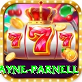 wayne parnell Pro Edition v2.5.6