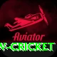 willow cricket Premium Plus v1.9.1