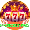willow cricket Jackpot King v5.2.4