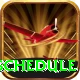 world cup t20 schedule Pro Edition v2.7.4